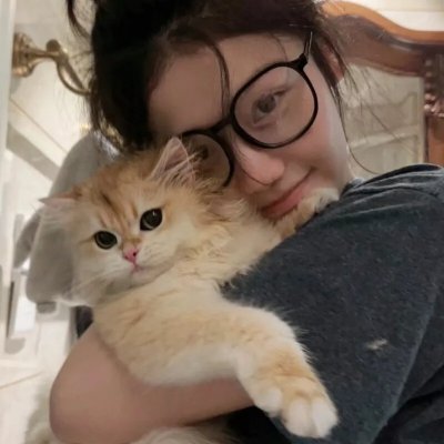 戴洛奇小镇第一季